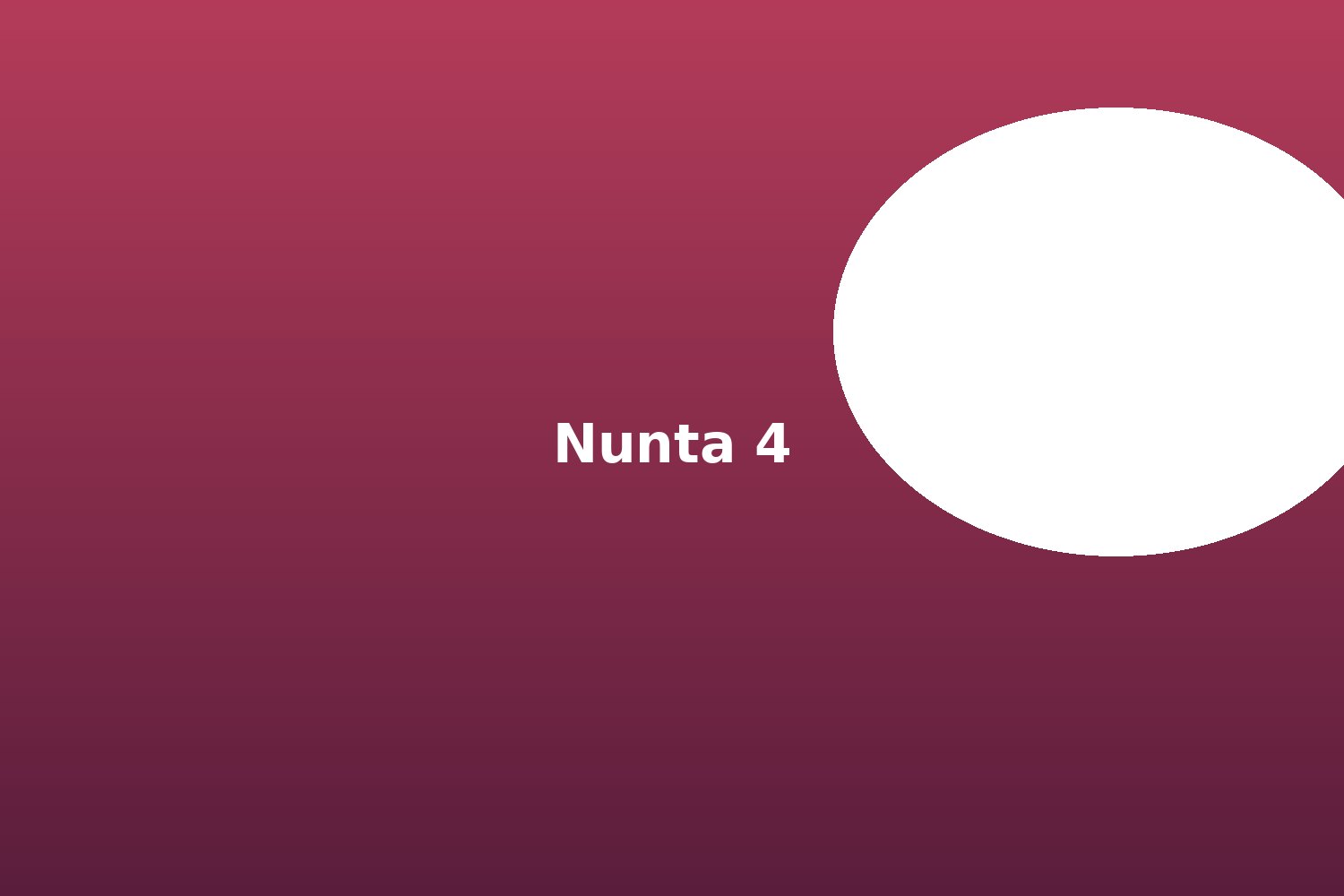 Nunta Alina si Mihai